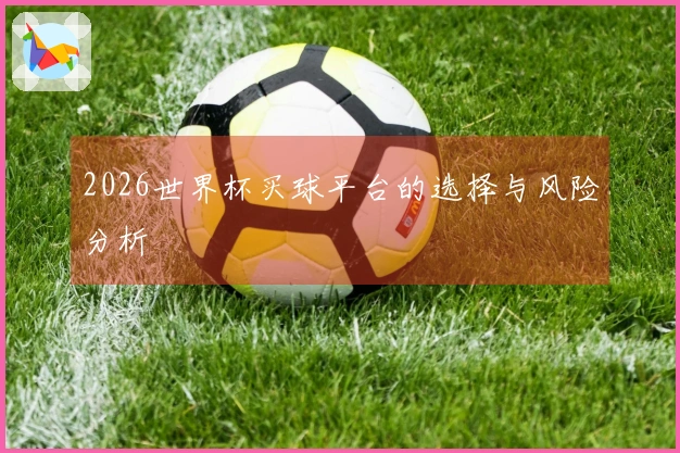 2026世界杯买球平台的选择与风险分析