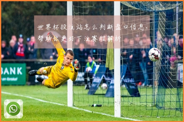 世界杯投注站怎么判断盘口信息，帮助你更好下注赛程解析
