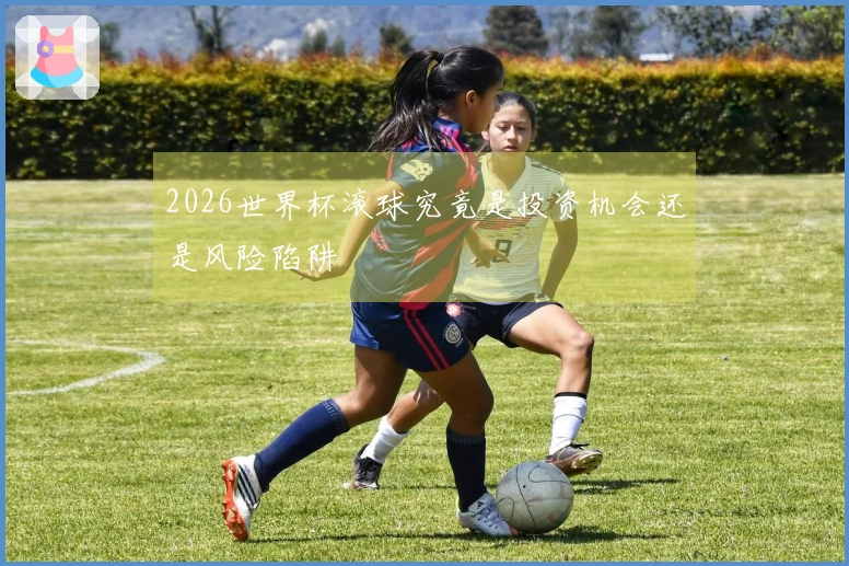 2026世界杯滚球究竟是投资机会还是风险陷阱