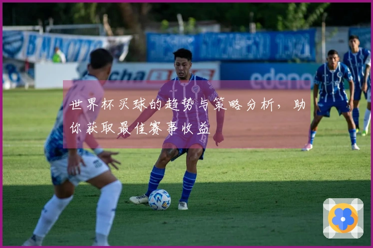 世界杯买球的趋势与策略分析，助你获取最佳赛事收益