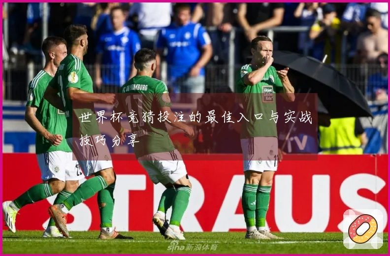 世界杯竞猜投注的最佳入口与实战技巧分享