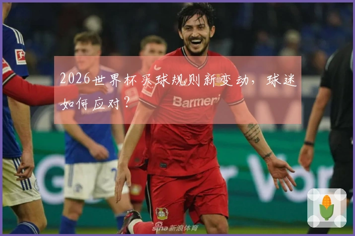 2026世界杯买球规则新变动，球迷如何应对？