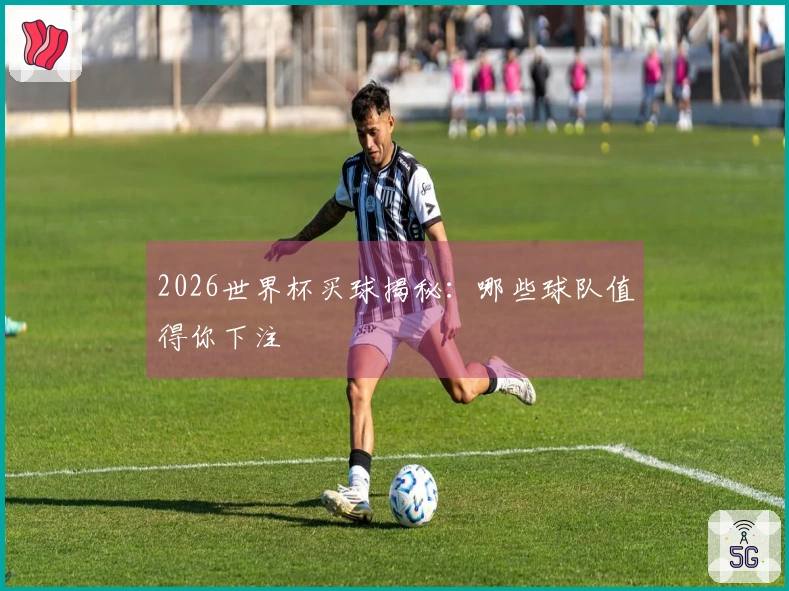 2026世界杯买球揭秘：哪些球队值得你下注