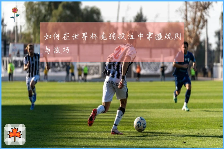 如何在世界杯竞猜投注中掌握规则与技巧