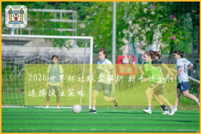 2026世界杯让球盘解析 新手该如何选择投注策略