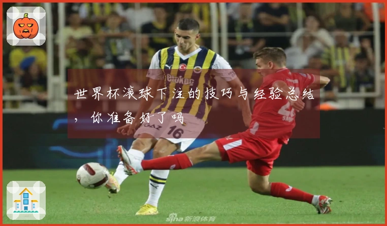 世界杯滚球下注的技巧与经验总结，你准备好了吗