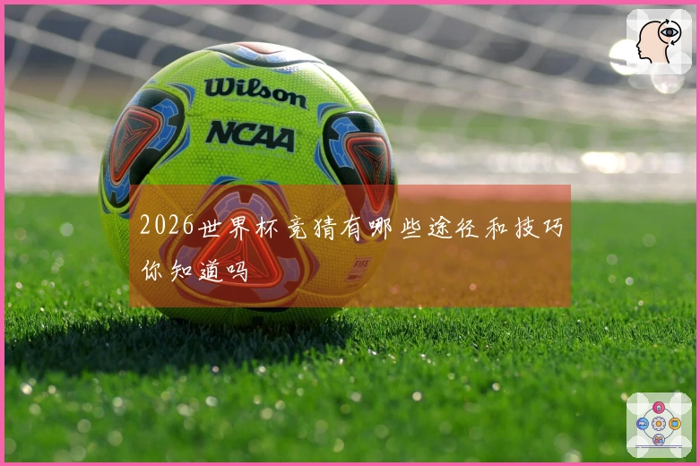2026世界杯竞猜有哪些途径和技巧你知道吗
