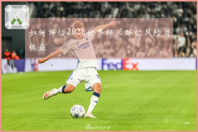 如何评估2026世界杯买球的风险与收益
