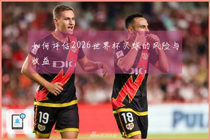 如何评估2026世界杯买球的风险与收益