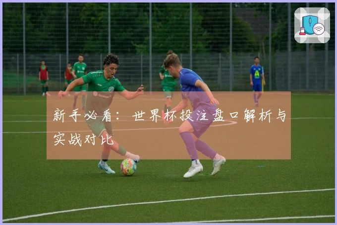 新手必看：世界杯投注盘口解析与实战对比