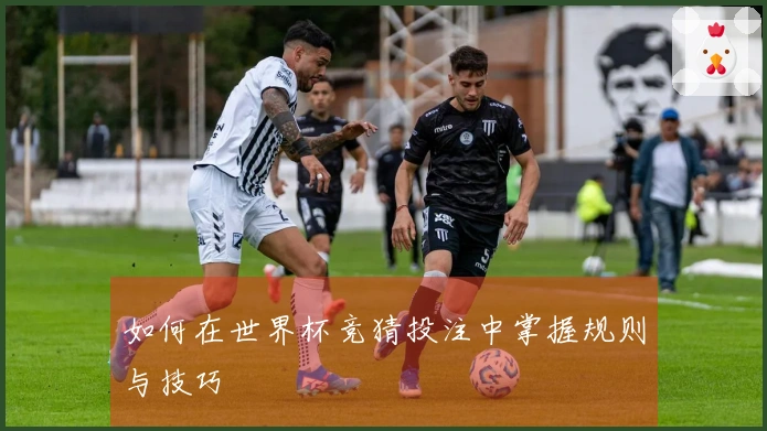 如何在世界杯竞猜投注中掌握规则与技巧