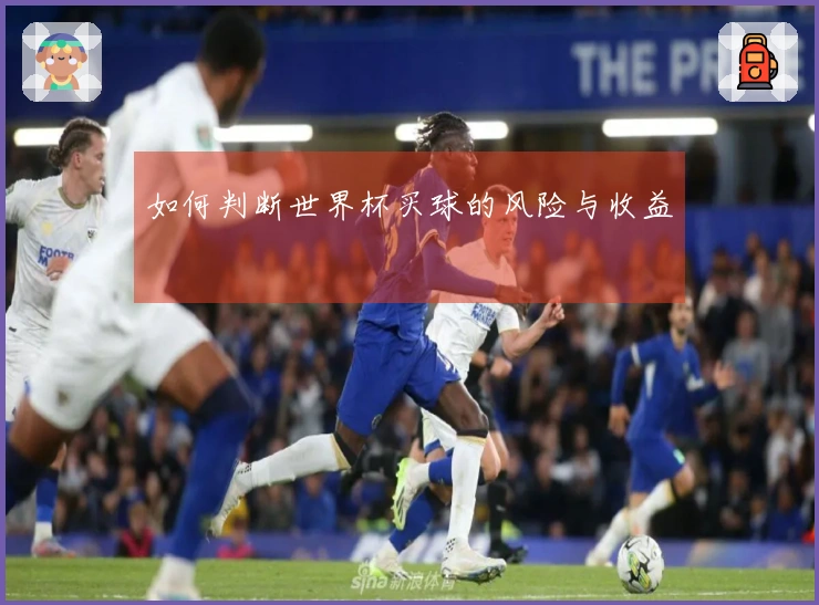 如何判断世界杯买球的风险与收益