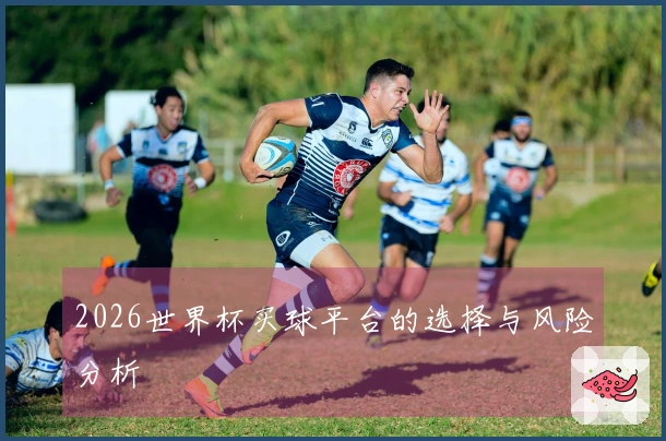 2026世界杯买球平台的选择与风险分析