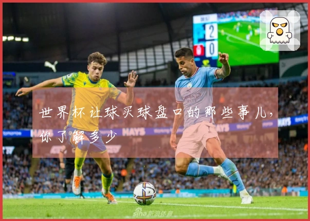 世界杯让球买球盘口的那些事儿，你了解多少