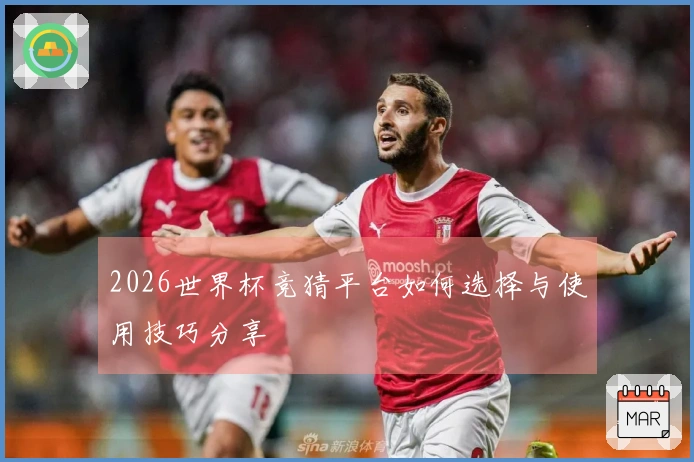 2026世界杯竞猜平台如何选择与使用技巧分享