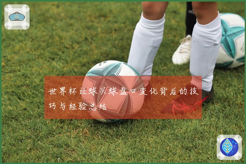 世界杯让球买球盘口变化背后的技巧与经验总结