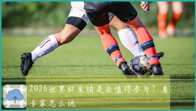 2026世界杯竞猜是否值得参与？看专家怎么说