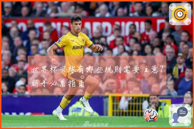 世界杯买球有哪些规则需要注意？新手必看指南